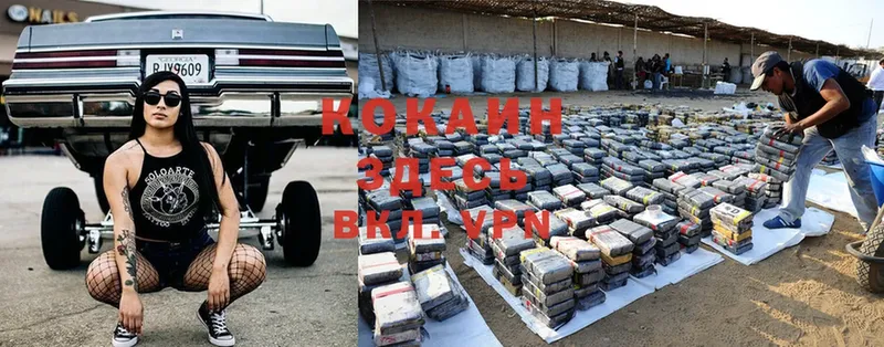 omg как войти  Россошь  Cocaine 98%  купить  